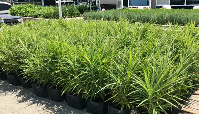 从业者行为规范：交流活动中的关键环节解析