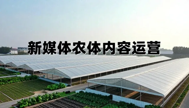 平面业务中内容分发的优化策略与实施路径