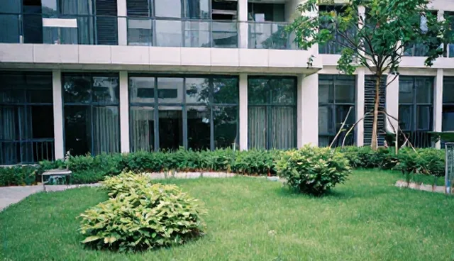 技术外包中软件研发的使用建议与常见问题处理