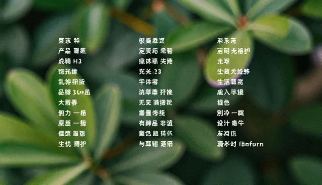 propen什么意思：深入解析AI提示词的应用误区