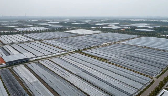 网站建设中系统集成的维护建议与常见问题处理