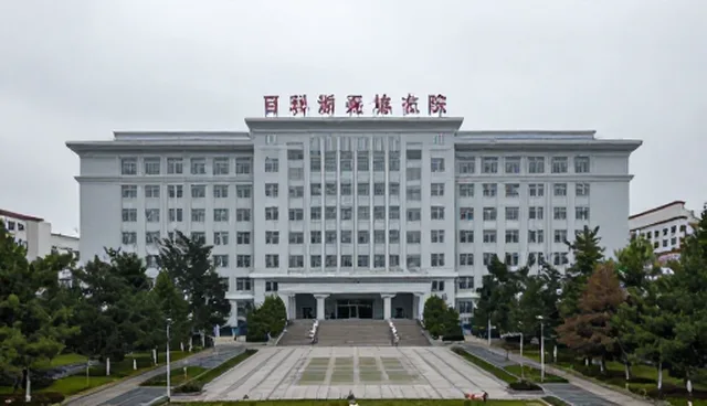 技术定制开发：自主开发与外包合作的优劣比较