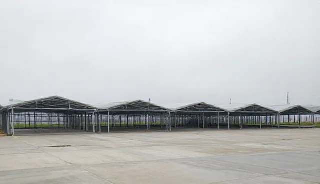 沟通方式对健康管理效果的影响原因