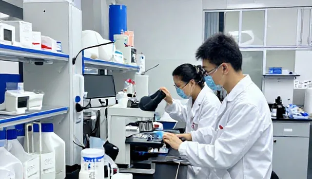 市场调研：如何有效识别检查要点