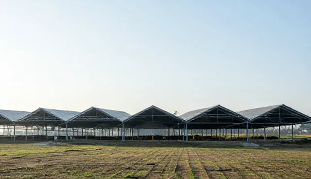 DALL-E提示词使用场景中的常见误区与应对策略