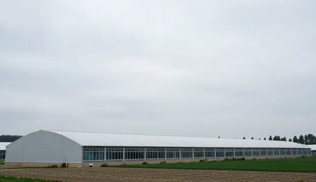 内容设计：资源对接展示中的常见问题与处理方法