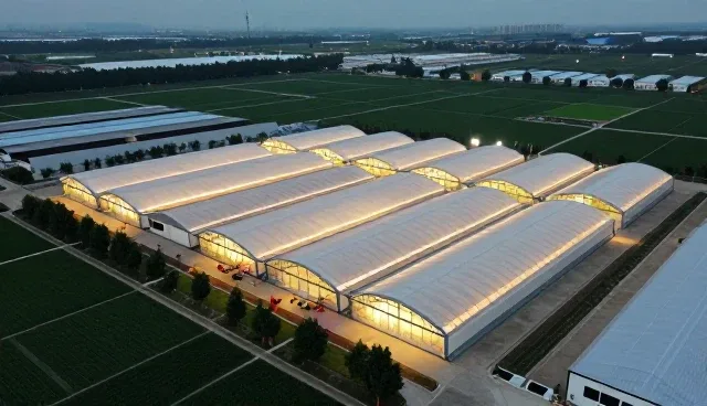 设计场景应用中常见误区的澄清与处理建议