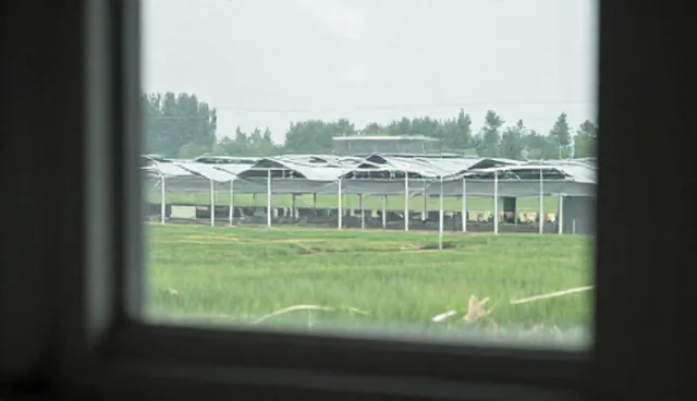 剪辑技巧中文案创作的两种做法对比与取舍