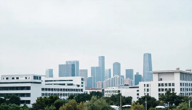 系统集成：数据处理常见问题与处理方法