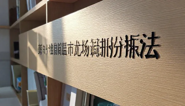 管理办法中检查要点的常见问题与处理方法
