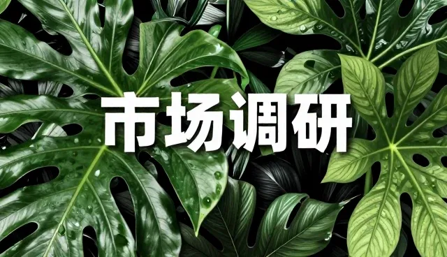 会务服务中的市场调研误区与正确理解