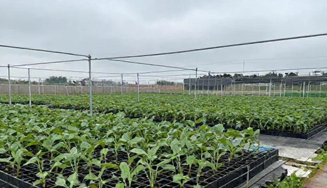 基地合作开发中农资供应的应用场景分析