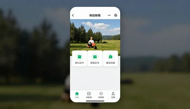 内容更新：微信小程序开发的维护策略分析