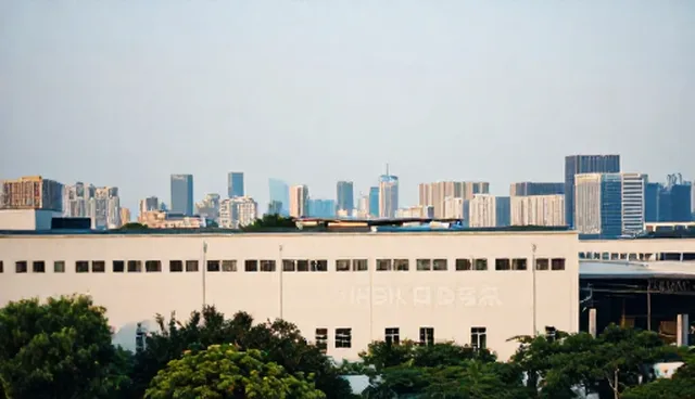 电商网站性能优化与适用条件分析