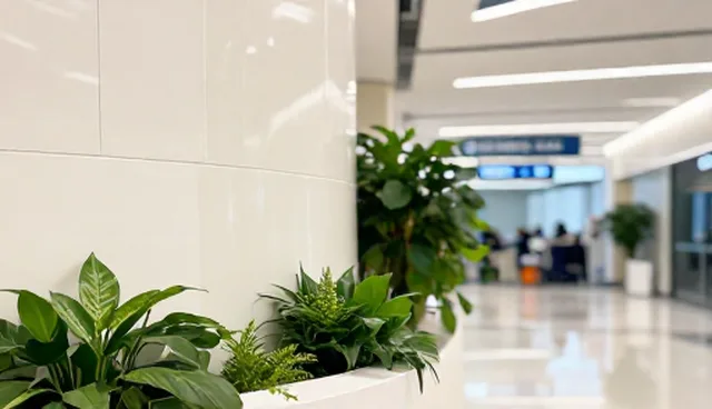 技术推广中性能差异如何影响选型建议