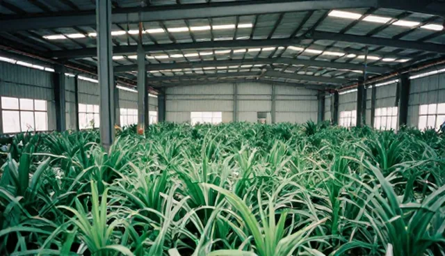 管网工程：性能优化的实施路径与技术趋势