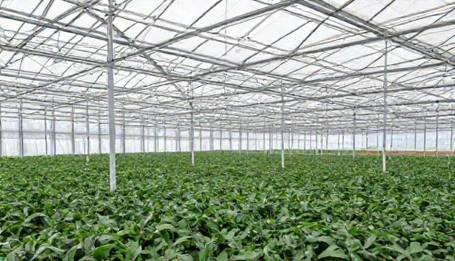 技术方案设计：成果转化的关键选型关注点
