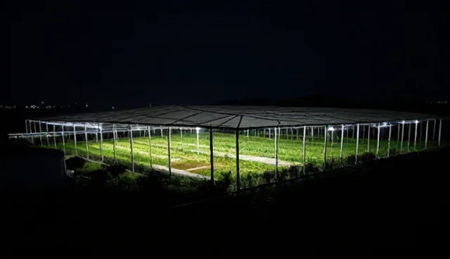 技术成果转化中常见误区及应对建议
