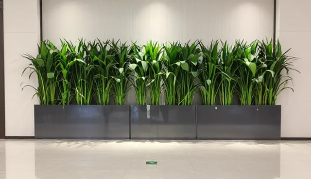 技术开发：检查要点与业务发展趋势分析
