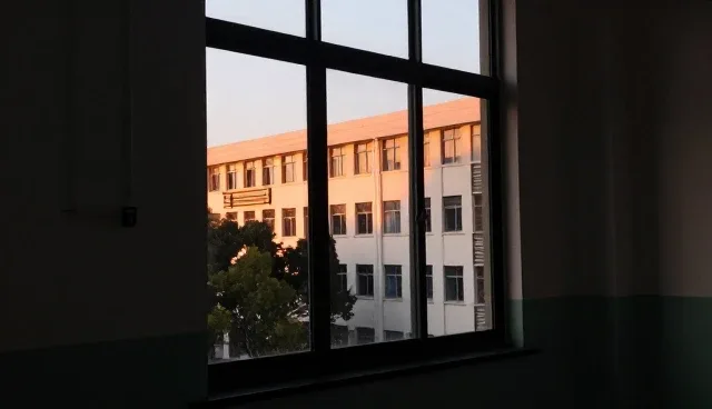 财税策划信息咨询套餐选型与使用建议