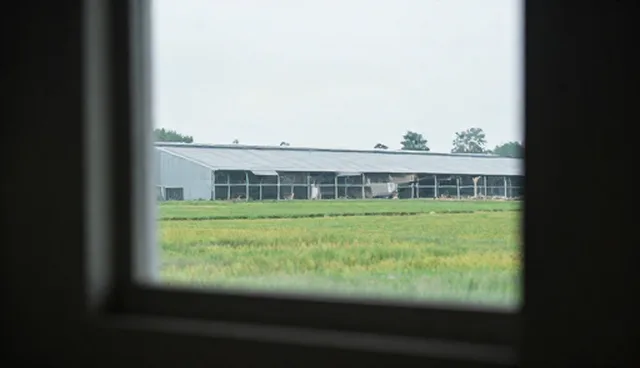 缓存机制：教育信息服务项目设计的优化策略
