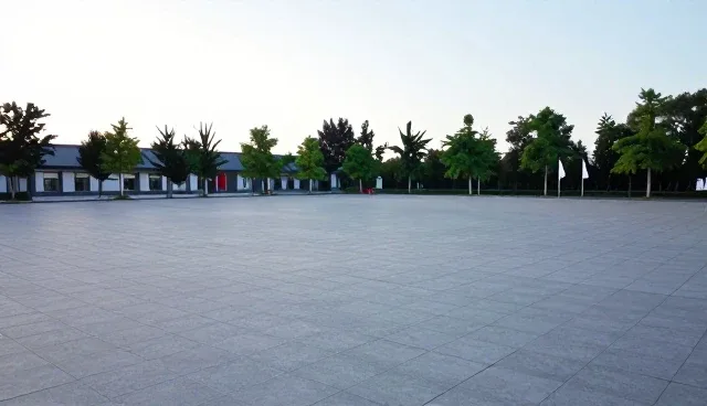 流程规范：商务代理服务的优化策略分析