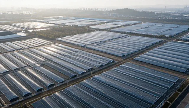 门诊场景下医疗服务选型与使用建议