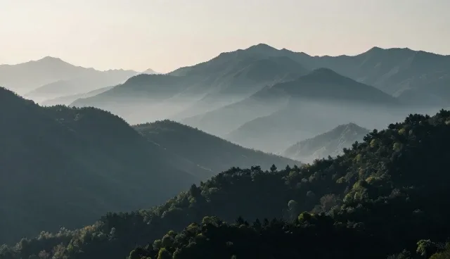 会务服务项目咨询：如何应对不同场景的性能需求