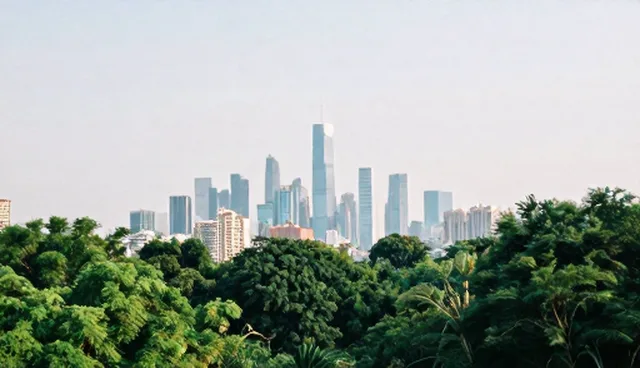 节点可查技术在限制条件下的性能与适用比较