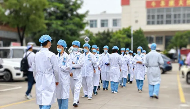 选型关注点如何影响材料供应效率？