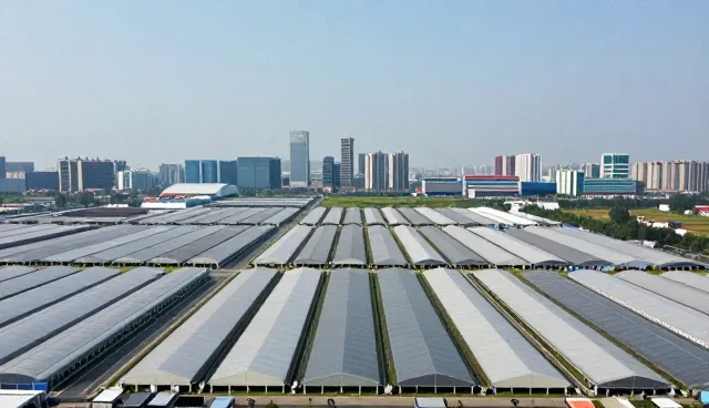 运维托管服务中性能差异的具体原因分析