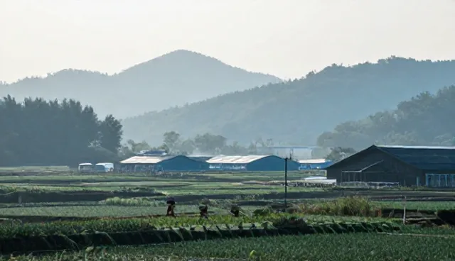 健康咨询的适用条件及选型关注点