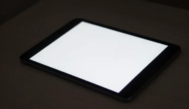 系统实施在业务发展中的适用条件与限制
