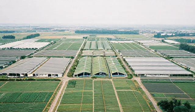 成本控制不当如何影响企业转型成功率