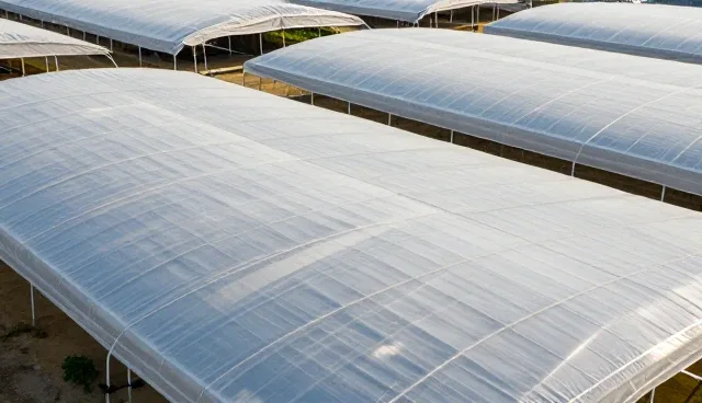 技术外包方案中应用场景理解的误区澄清