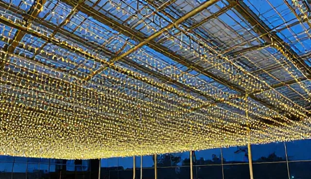 商务基础咨询套餐：使用与维护建议