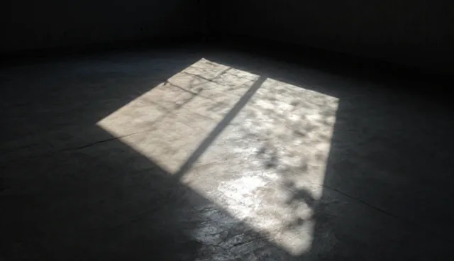 提升健康素养的5个检查要点与慢病管理服务使用建议