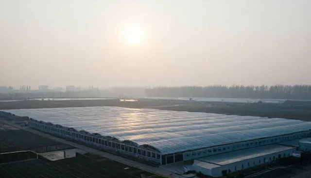 配送时效受天气影响的原因分析