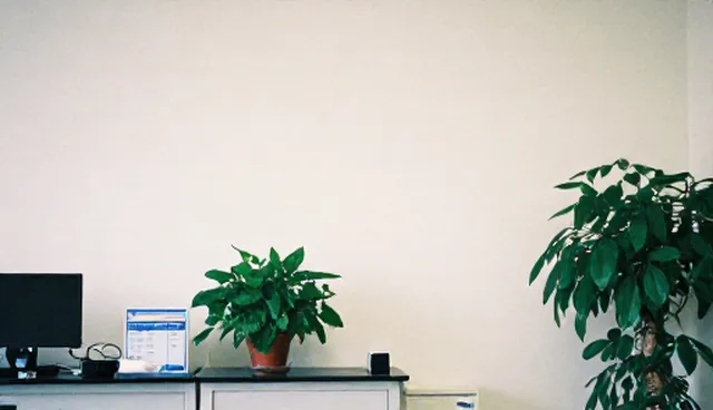 技术成果转化中的项目风险管控流程解析