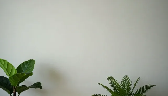 年检代办服务为何成为配件销售的新风口？