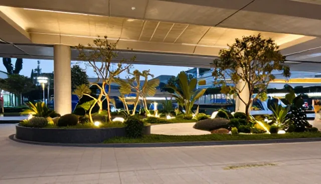 园林景观设计：常见维护建议与处理方法