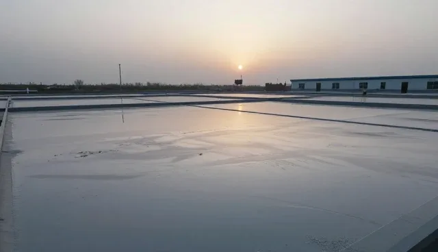 分装产品在成本控制中的适用情况与限制分析