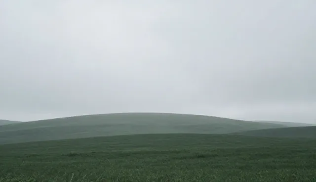视频剪辑中地区选型对流量转化的影响