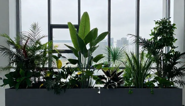 直播运营设计误区有哪些？如何避免错误操作？