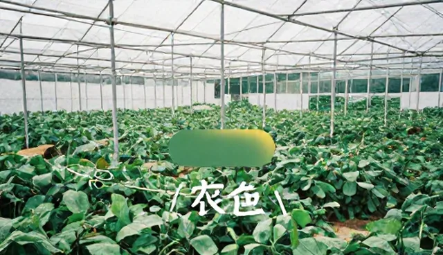 电商提示词在实际应用中的问题分析