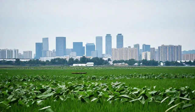 企业管理系统节点可查：选型与使用建议
