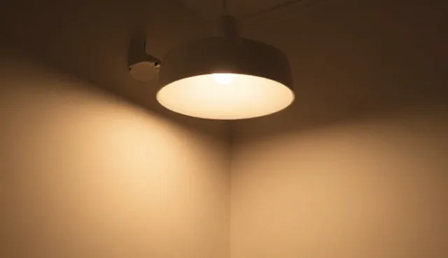 食品销售服务中冷链配送的选型与使用建议