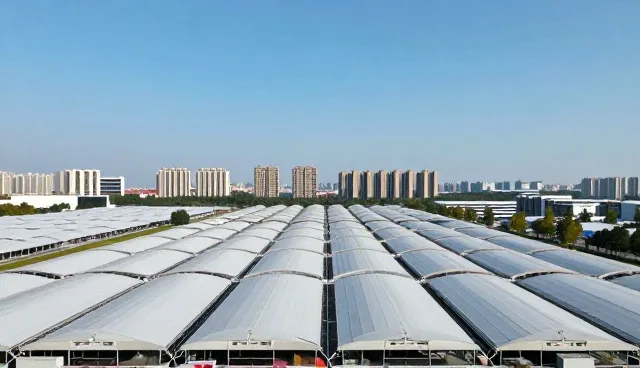 团队在应用开发中的协作误区与应对策略