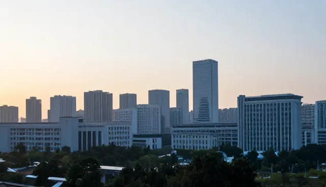 网站建设项目中域名检查的5大要点