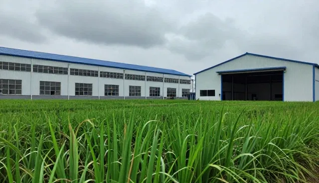 性能优化在技术推广中的适用情况与限制